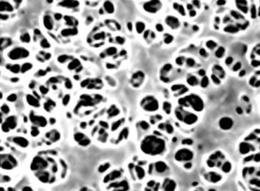 CA Membrane Filter