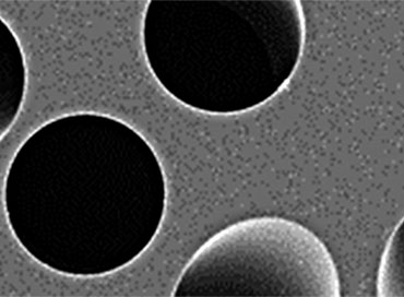 PCTE Membrane Filter