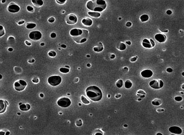 PES Membrane Filter