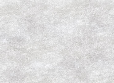 Non Woven Viscose