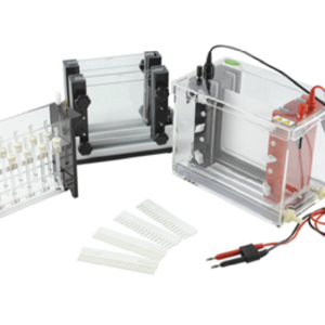 2D Vertical Electrophoresis Unit