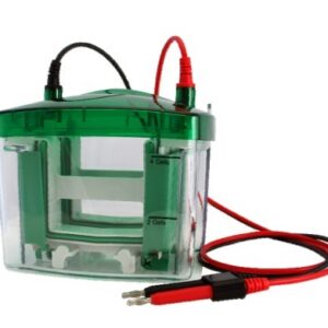 Mini Vertical Electrophoresis System
